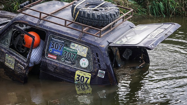 的盈利能力 的盈利能力