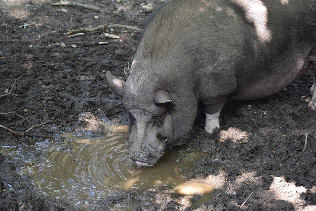成为这一赛 成为这一赛