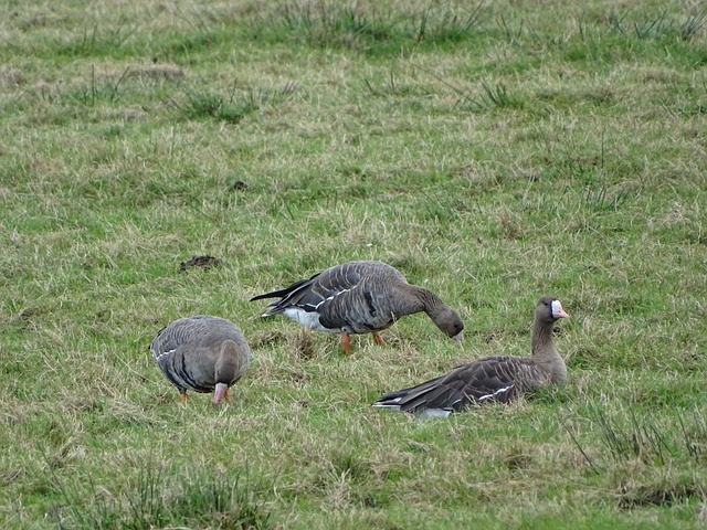 一步完善年 一步完善年