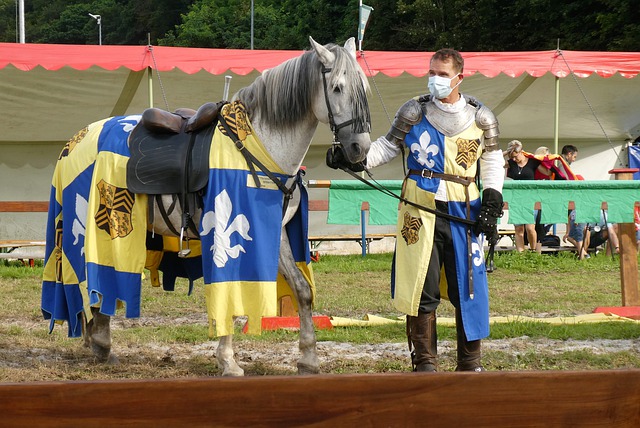 来自巴西 来自巴西