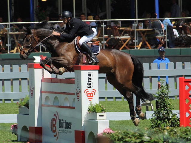 影响与贡献 影响与贡献