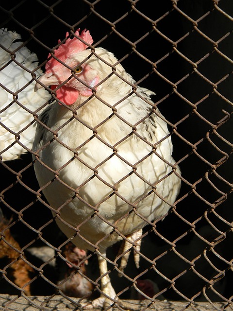 他们还有很 他们还有很