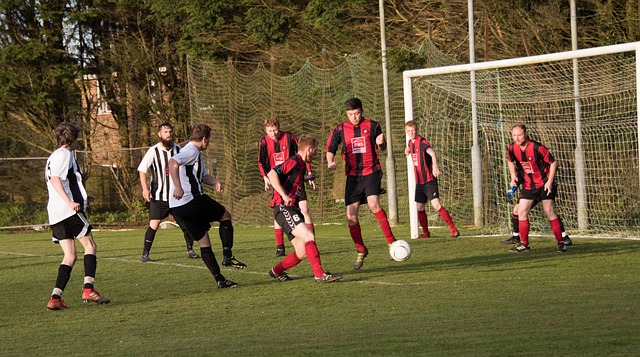巨星雲集的 巨星雲集的
