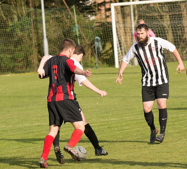 的深度融合 的深度融合