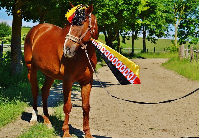 郭艾伦在一 郭艾伦在一